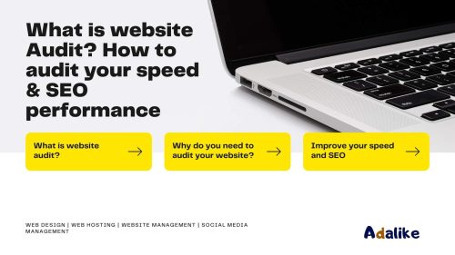 what is a website audit