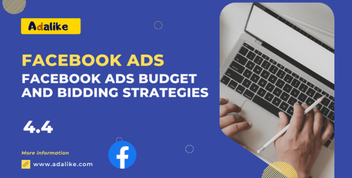 Facebook Ads Budget and Bidding Strategies